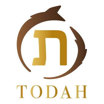 My Website